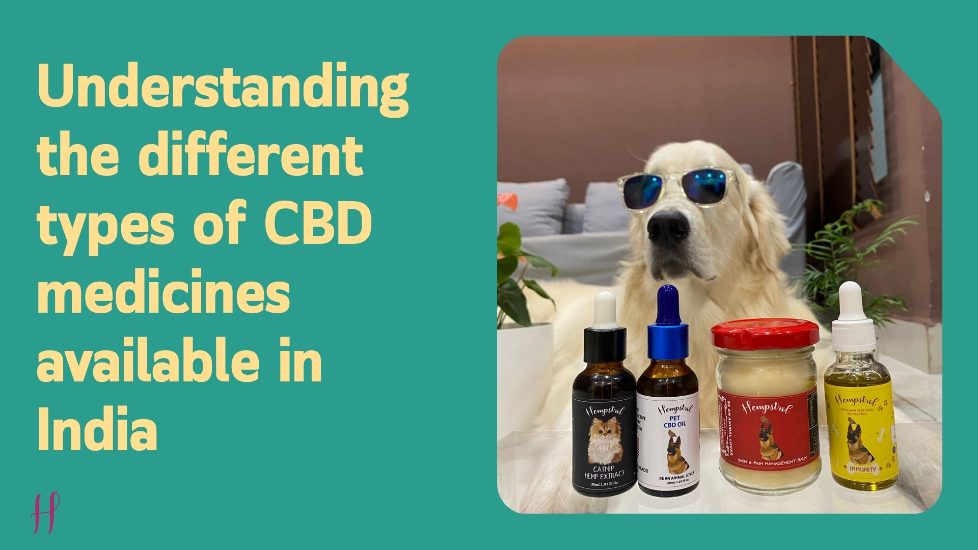 CBD oil and hemp products in India displayed with pet wellness theme, highlighting different CBD medicine types